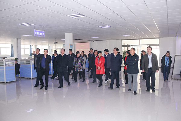 National Provincial and Municipal Peoples Congress Visited China Coal Group