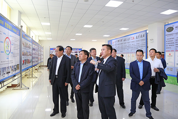 Warmly Welcome Hebi Municipal Party Committee Secretary Fan Xiufang And Mayor Guo Hao To Visit China Coal Group For Inspection